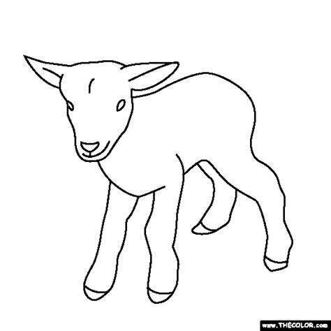 Baby Animals Online Coloring Pages Page 1 Christmas Coloring Pages