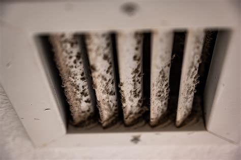 How To Get Rid Of Mould In Air Conditioners Hvac Mildew Cleaning