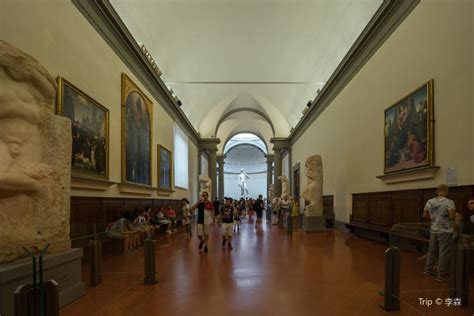 Academy Of Florence Art Gallery Travel Guidebook Must Visit