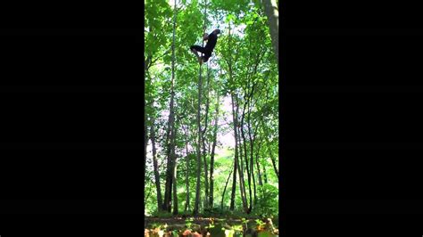 Movnat Barefoot Tree Climbing Båstad Sweden Youtube