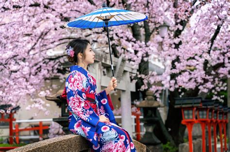 Cherry Blossom Viewing In Kimono Kimono Yukata Market Sakura