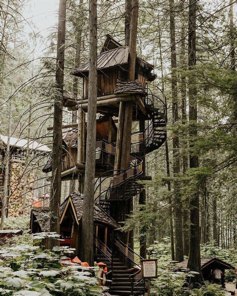Pin By Suzy Brown On Enchanted Forest Home Tree House Stay In A