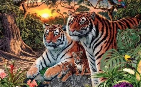 Tigres femenil, san nicolás de los garza. Reto vira: Encuentra los tigres en la imagen