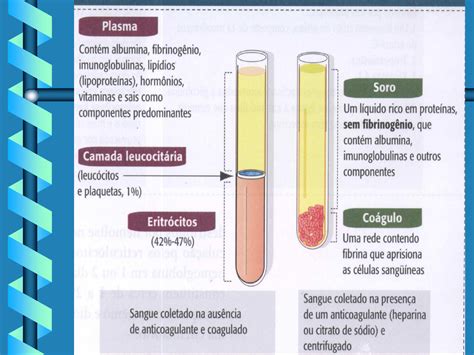 O Que é Mpv No Hemograma