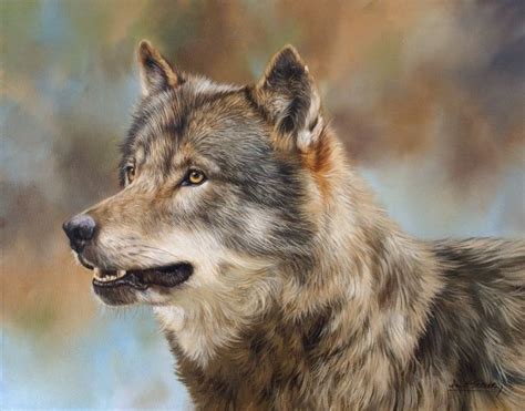 Wolf By David Stribbling Wildlife Art Wolf Art Animal Art
