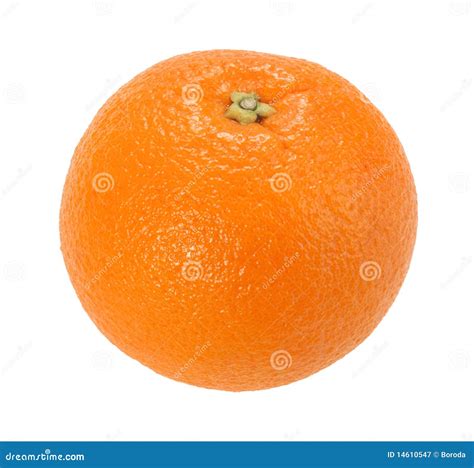 One Full Orange Only Stock Image Image Of Nature Fruit 14610547