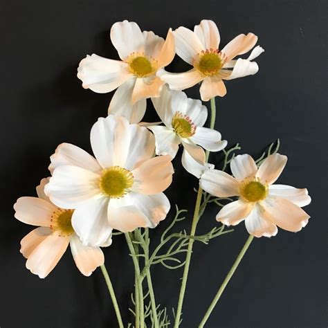 Arthur writes for the telegraph, taking his own photographs of flowers and poultry, and has appeared on bbc 2's gardeners' world. Details about Artificial White Cosmos, Realistic Wild ...