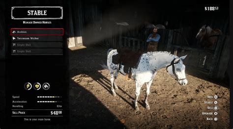 How To Get The Best Horses In Red Dead Redemption 2 Levelskip