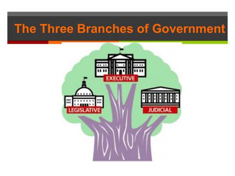 The Three Branches Of Government “expressed Powers”