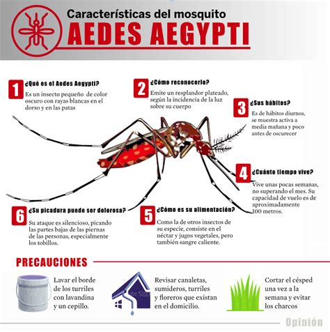 Alerta Amarilla Sedes Reporta Primer Caso De Dengue Importado