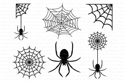 Spiders And Spider Web Svg Files Illustrations Creative Market