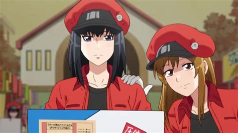Online red shoes (2021) episode 12 english subtitles watch . Cells at Work! (Hataraku Saibou) - Anime streaming in ...