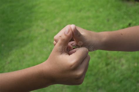 Children Holding Hands Stock Photo Image Of Small Green 78374616