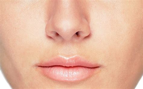 Perfect Female Nose Revealed Telegraph