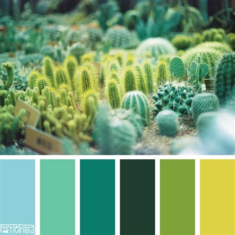 12 Mejores Imagenes De Paletas De Color Verde En 2020 Paleta De Color