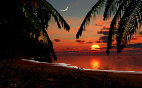 Tropical Sunset Wallpaper Zoom Wallpapers