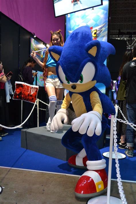 Pin By Sfh On ショー Sonic The Hedgehog Costume Amazing Cosplay Sonic