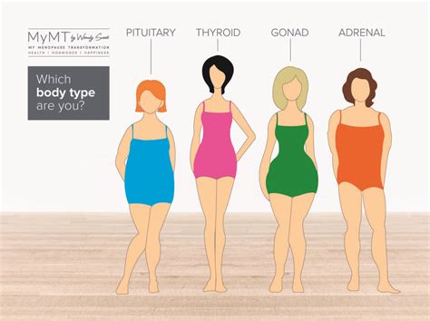 The Science Behind Your Changing Shape In Menopause My Menopause