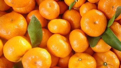 Dec 17, 2020 · arti mimpi buah jeruk. 10 Makanan Spesial Yang Dihidangkan Saat Tahun Baru Imlek