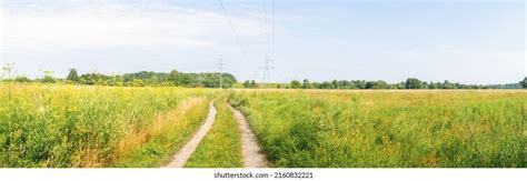 Endless Meadows Green Grass On Sunny Stock Photo 2160832221 Shutterstock