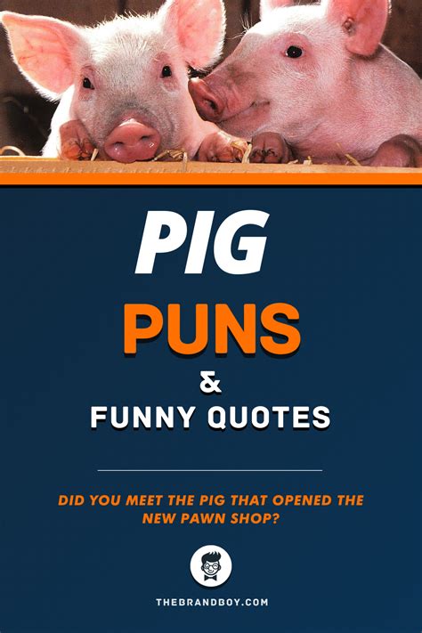 55 Best Pig Puns And Funny Quotes Thebrandboycom Pig Puns Funny