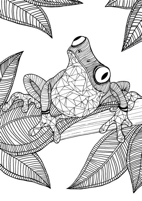 Frog Adult Colouring Page Colouring In Sheets Art And Craft Art