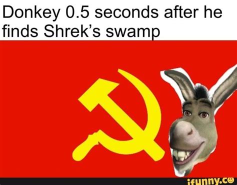 Donkey 05 Seconds After He Finds Shreks Swam Ifunny Really Funny Funny Memes History
