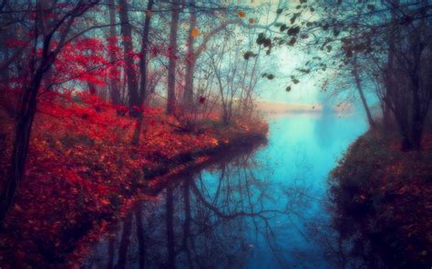 Beautiful Landscape River Autumn Nature Red Leaves