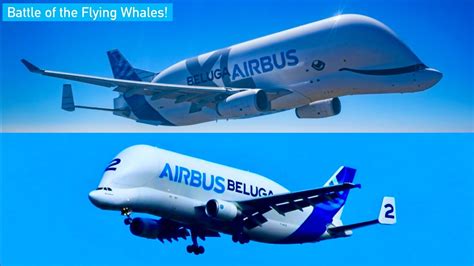 Airbus Beluga Xl Vs Beluga Which Airbus Transport Plane Is Best Youtube