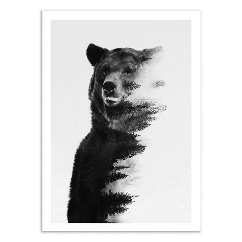 Found in south america, they are usually the largest, most abundant primate in their range. Art-Poster Animals - Bear black and white, by Andreas Lie