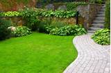 Images of Lawn And Landscape Care