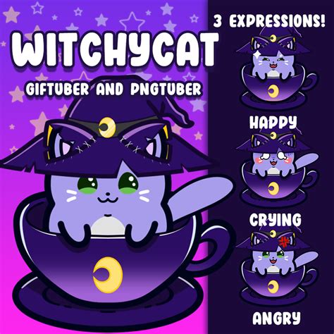 Premade Tuber Pngtuber Cute Witchycat For Vtubers W 3