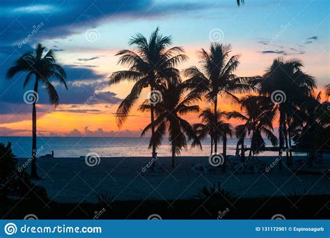 Cuba Sunset Landscape In Sandy Palm Beach Stock Image Image Of