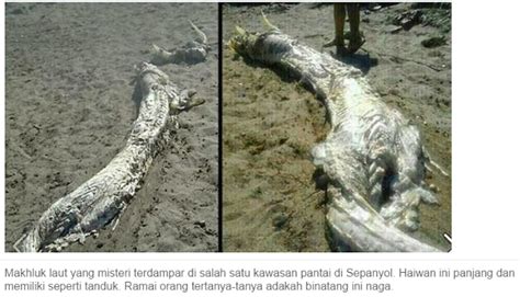 7 pasar paling aneh dan unik di dunia, salah satunya di indonesia lo. MENGGEMPARKANN PENEMUAN BENDA PELIK DI DUNIA YANG PENAH DI ...