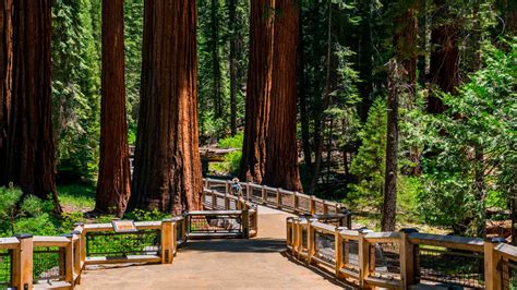 5 lugares de california que debes visitar
