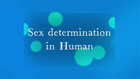 Sex Determination In Human By Sanjay Lad Sir Principles Of Inheritance