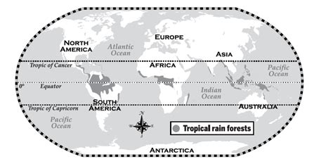 Tropical Rainforest Longitude And Latitude Amazon Rainforest