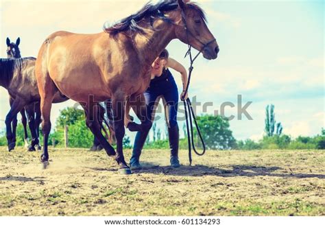 Animal Human Love Equine Concept Jockey Stock Photo Edit Now 601134293