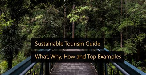 Sustainable Tourism Guide Why Important Examples And More