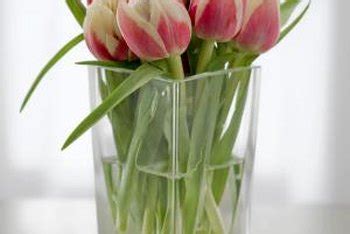 Maybe you would like to learn more about one of these? How Can I Make Tulips Last Longer? | Home Guides | SF Gate