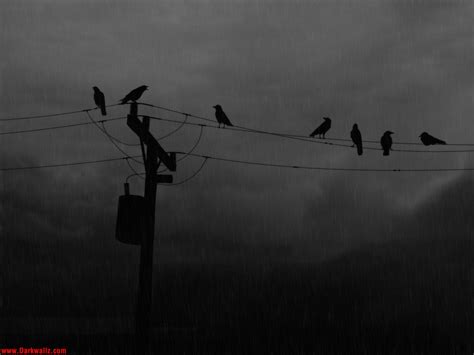 Check out this beautiful collection of depression wallpapers, with 83+ background images. 46+ Depression Wallpapers on WallpaperSafari
