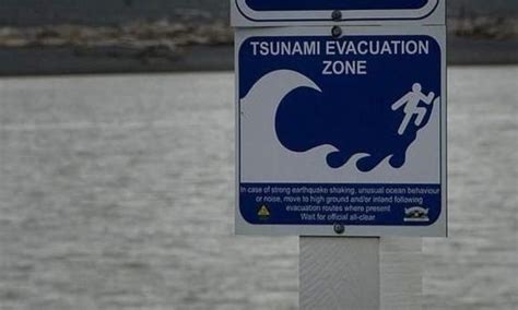 Tsunami warning latest however people in coastal parts of nz warned to remain cautious for rest of today due to potential for 'large unexpected currents'. The Bulletin: False alarm sparks tsunami alert concerns | The Spinoff