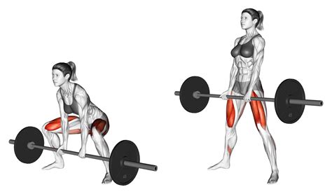 Sumo Deadlift Benefits Muscles Used And More Inspire Us