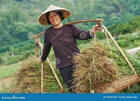 Rice Field Worker