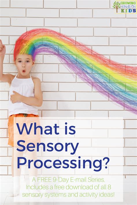 What Is Sensory Processing Pin Growing Hands On Kids Store