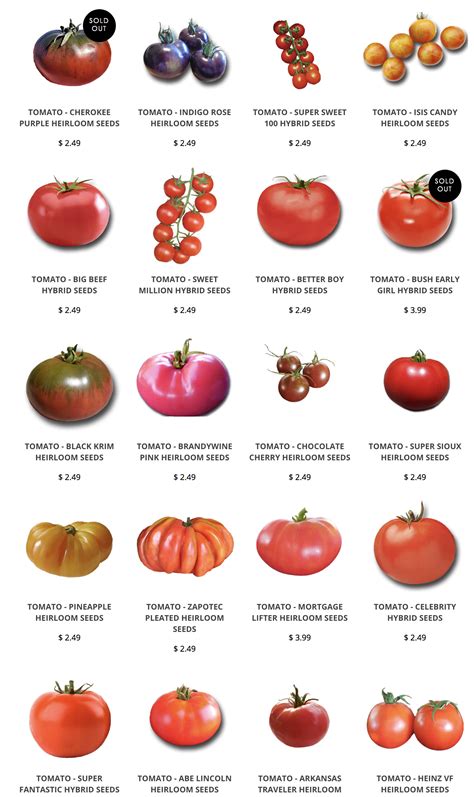 Potato leaf tomatoes do not have as many lobes or serrations as regular leaf tomatoes. Heirloom Tomatoes include Brandywine, Cherokee Purple ...