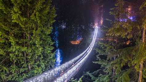 Capilano Suspension Bridge Lights The Forest Glows For Three Months