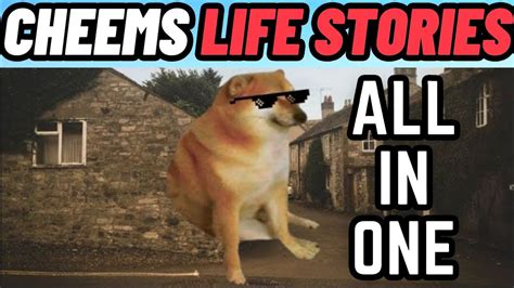 Life Of Cheems The Doge Part 1 2 3 New Episodes All In One Meme
