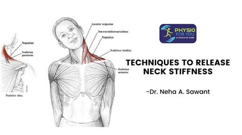Techniques To Release Neck Stiffness Physio For You Physioforyou Physiotherapy Youtube