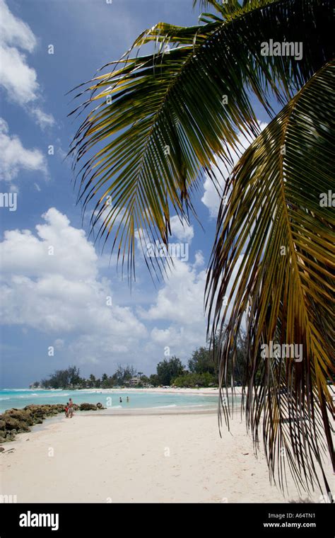 west indies caribbean barbados christ church parish rockley beach also known as accra beach